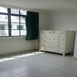 LORONG L TELOK KURAU (D15), Condominium #53329692